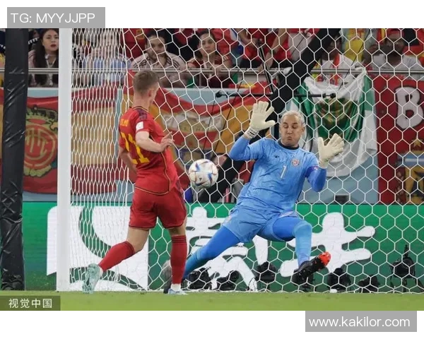 世界杯精彩对决哥斯达黎加勇战荷兰展现足球激情与实力