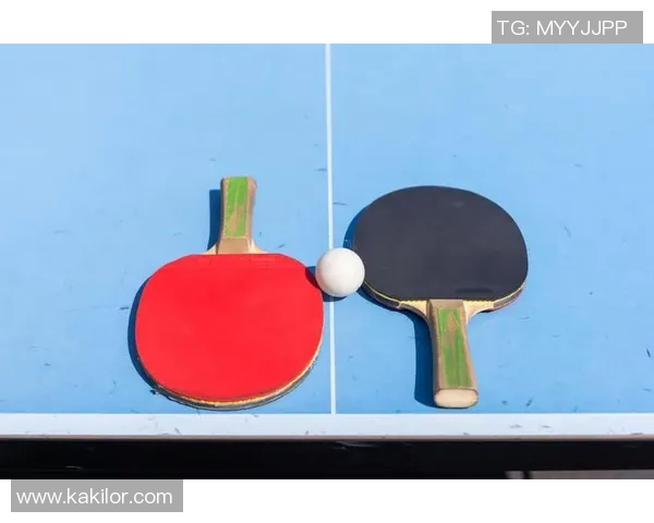 从零基础到乒乓球耐力提升全攻略助你成为乒乓高手