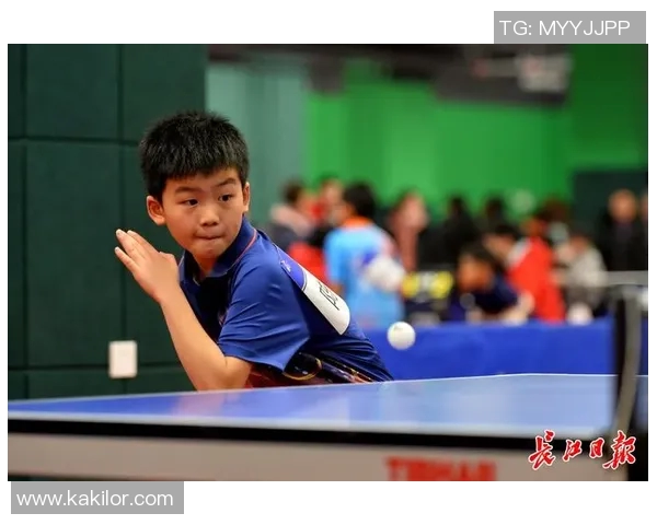 武汉乒乓球队的奋斗历程与荣耀时刻全景纪实